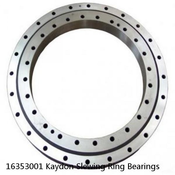 16353001 Kaydon Slewing Ring Bearings