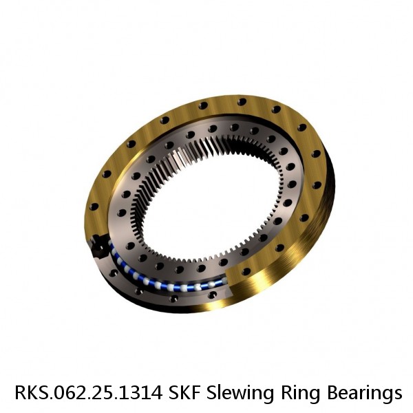 RKS.062.25.1314 SKF Slewing Ring Bearings