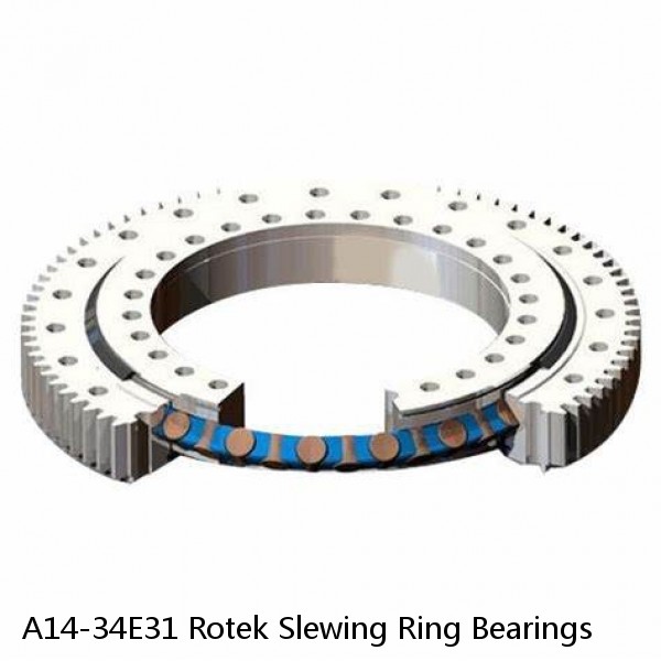 A14-34E31 Rotek Slewing Ring Bearings