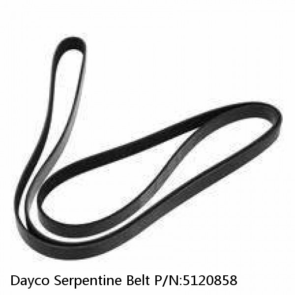 Dayco Serpentine Belt P/N:5120858
