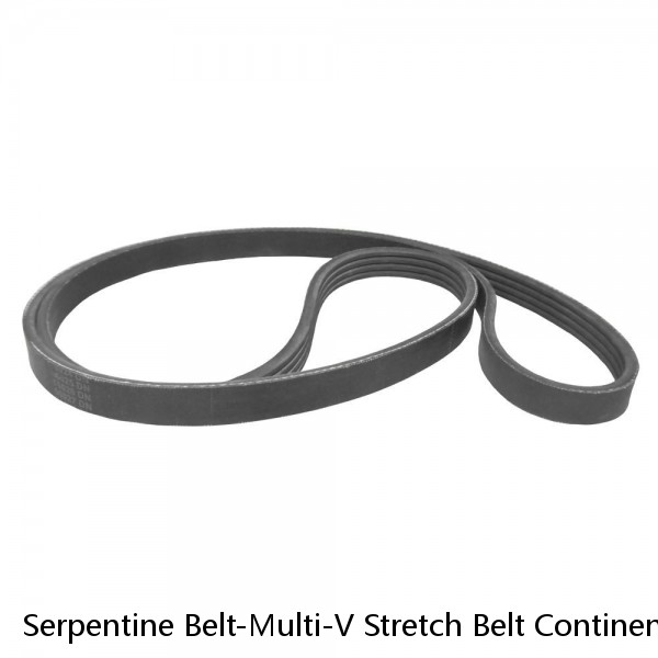 Serpentine Belt-Multi-V Stretch Belt Continental Elite 4040329S