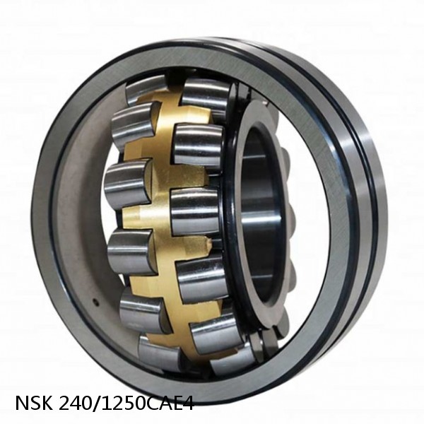 240/1250CAE4 NSK Spherical Roller Bearing #1 small image