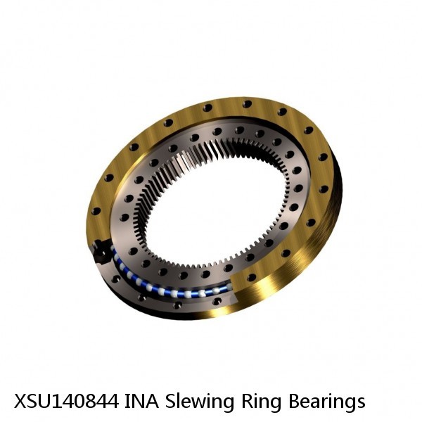XSU140844 INA Slewing Ring Bearings #1 small image