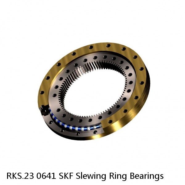 RKS.23 0641 SKF Slewing Ring Bearings #1 small image
