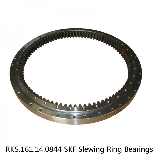 RKS.161.14.0844 SKF Slewing Ring Bearings #1 small image