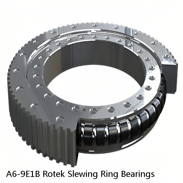 A6-9E1B Rotek Slewing Ring Bearings #1 small image