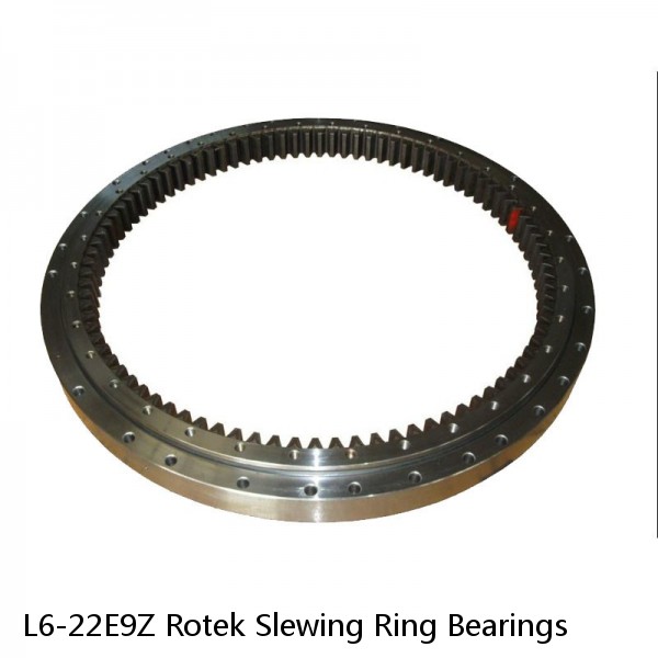 L6-22E9Z Rotek Slewing Ring Bearings #1 small image