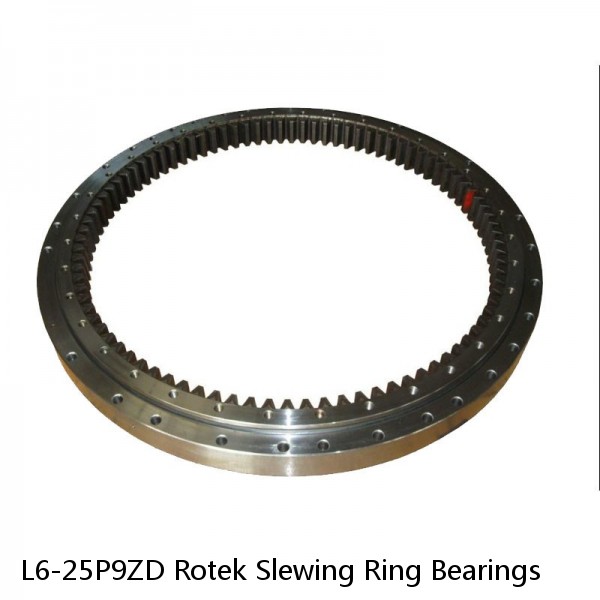 L6-25P9ZD Rotek Slewing Ring Bearings #1 small image