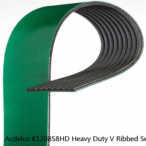 Acdelco K120858HD Heavy Duty V Ribbed Serpentine Belt #1 small image