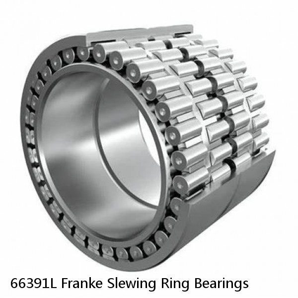 66391L Franke Slewing Ring Bearings #1 image