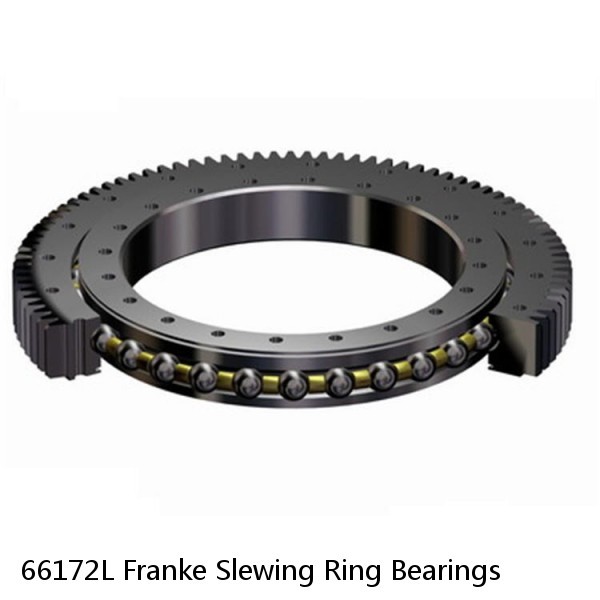66172L Franke Slewing Ring Bearings #1 image