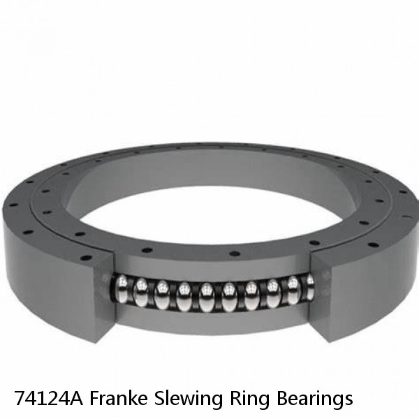 74124A Franke Slewing Ring Bearings #1 image