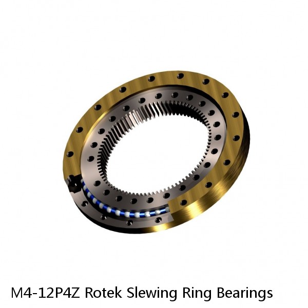 M4-12P4Z Rotek Slewing Ring Bearings #1 image