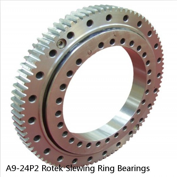 A9-24P2 Rotek Slewing Ring Bearings #1 image