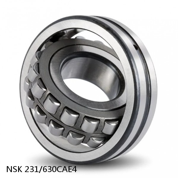 231/630CAE4 NSK Spherical Roller Bearing #1 image