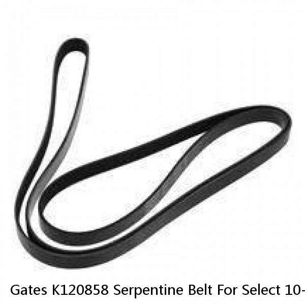 Gates K120858 Serpentine Belt For Select 10-21 Kenworth Peterbilt Models #1 image