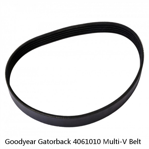 Goodyear Gatorback 4061010 Multi-V Belt #1 image